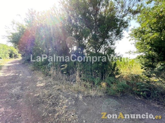 ID-457 Terreno para el cultivo, está fácil